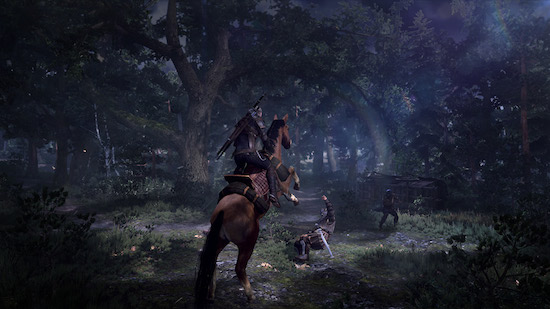 The_Witcher_3_Wild_Hunt_Fight_In_the_Woods